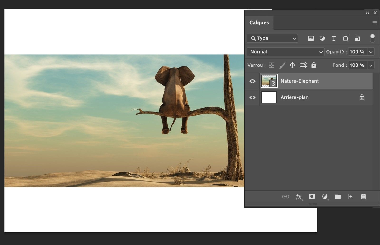 Le panneau Calques affiche un calque d’objet dynamique sélectionné avec une icône de lien, indiquant qu’il s’agit d’un objet dynamique lié.