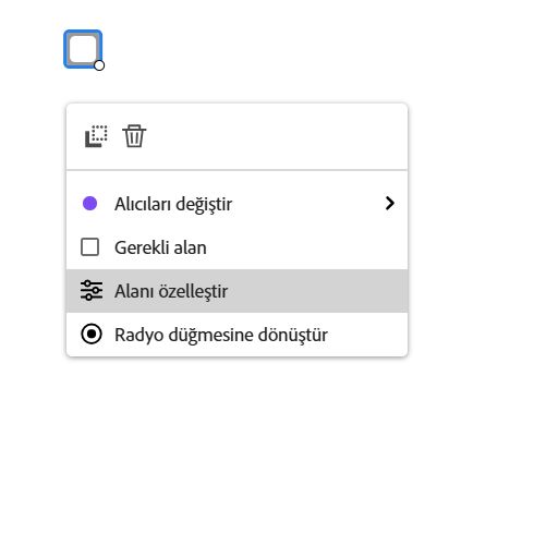 Sol tıklatma menüsü açık ve Alanı özelleştir vurgulanmış olarak Onay Kutusu alanı.