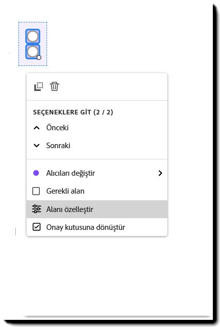 Sol tıklatma menüsü açık ve Alanı özelleştir vurgulanmış olarak Radyo Düğmesi alanı.