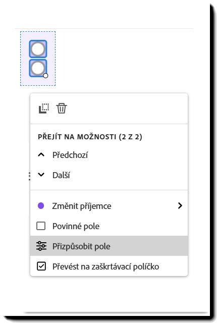Pole přepínacího tlačítka se zobrazenou nabídkou po kliknutí levým tlačítkem a zvýrazněným polem Přizpůsobit.