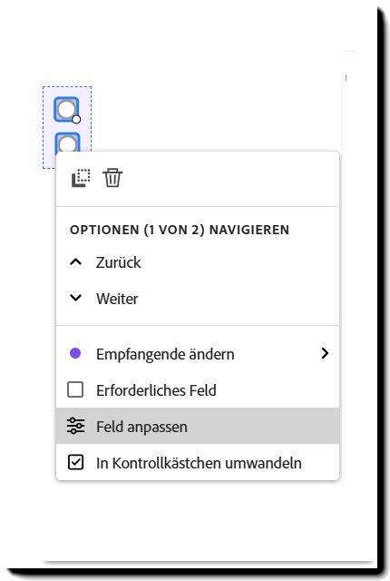 Das Optionsfeld mit dem Kontextmenü und der hervorgehobenen Option „Feld anpassen“.