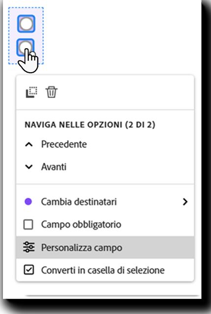 Campo del pulsante di scelta con il menu di scelta a sinistra visualizzato e il campo Personalizza evidenziato.
