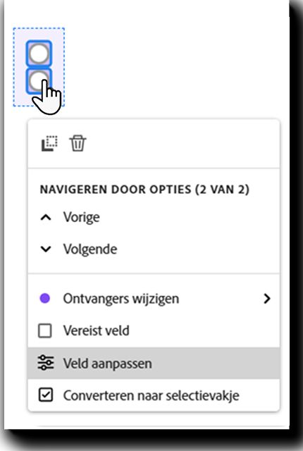 Het keuzerondje met het linkermuisknopmenu zichtbaar en het veld Aanpassen gemarkeerd.