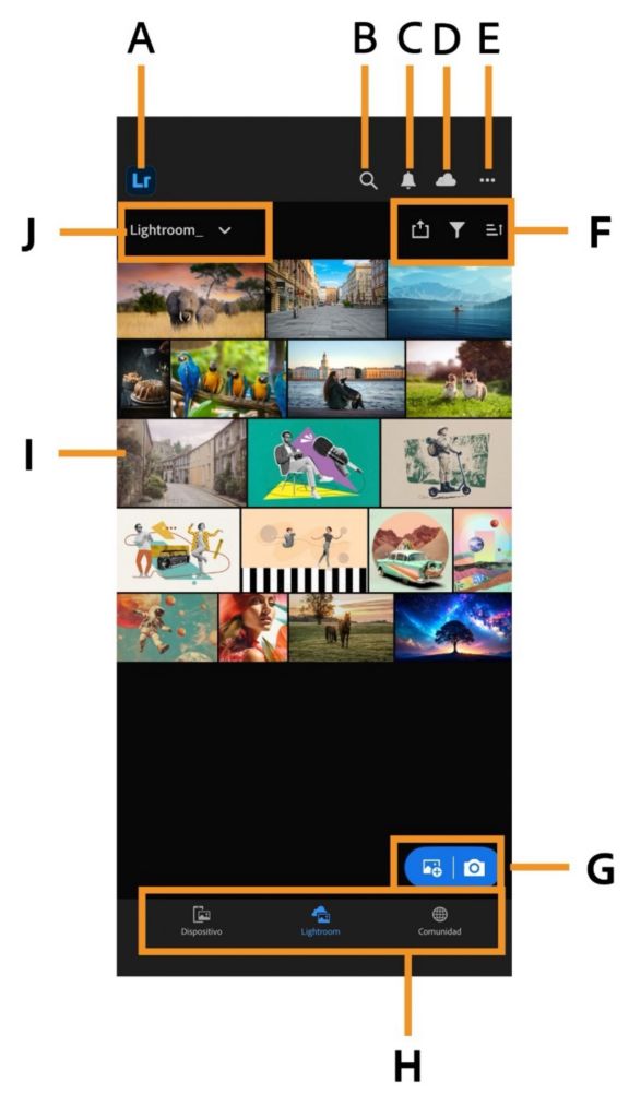 Pantalla de inicio de la aplicación de Lightroom con una cuadrícula de fotografías y fichas de navegación para el dispositivo, Lightroom y la comunidad.