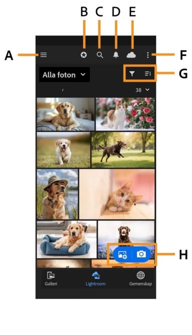Skärmen Lightroom på mobilt bibliotek visar ett fotorutnät med etiketterade gränssnittselement, till exempel sidmenyn, Lär dig något nytt, Sök, Aviseringar, Molnstatus, menyn Fler alternativ, filtrera och sortera kontroller, Lägg till foton och knappen Kamera.