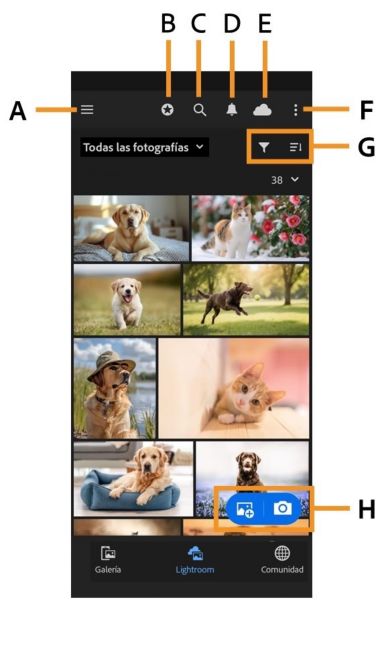 Pantalla de la biblioteca móvil de Lightroom que muestra una cuadrícula de fotografías con elementos de interfaz etiquetados como el menú lateral, Más información, Buscar, Notificaciones, Estado de la nube, Menú Más opciones, controles de filtrado y ordenación, Añadir fotos y botón Cámara.