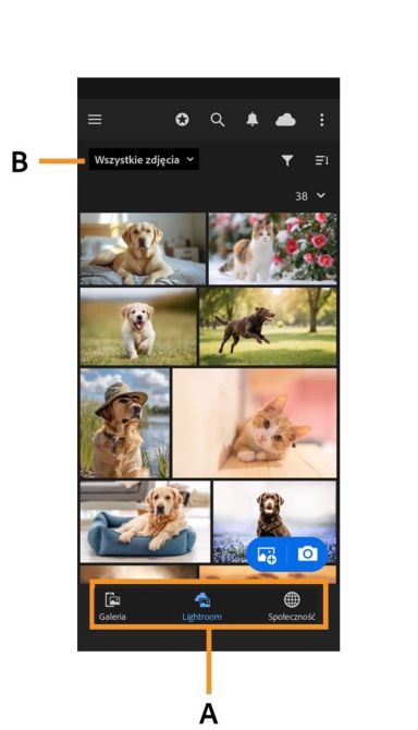 Lightroom na ekranie Biblioteka mobilna podświetla listę rozwijaną Wszystkie zdjęcia i karty nawigacyjne dla Galerii, Lightroom i Społeczności.