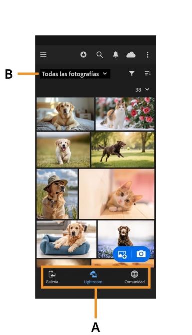 Pantalla de la biblioteca de Lightroom para dispositivos móviles que resalta el menú desplegable Todas las fotografías y las pestañas de navegación de la galería, Lightroom y la comunidad.