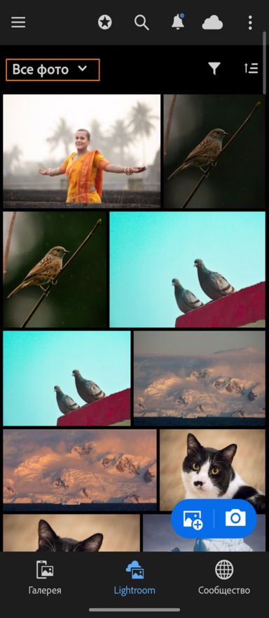 Вкладка Lightroom с выделенным раскрывающимся меню «Все фото».