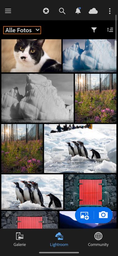 Lightroom mit hervorgehobenem Dropdown-Menü „Alle Fotos“.