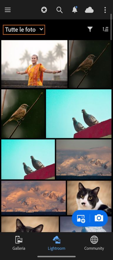 Scheda Lightroom che mostra il menu a discesa Tutte le foto evidenziato.