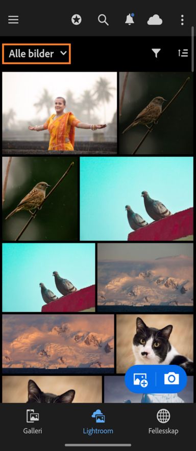 Lightroom-fane som viser rullegardinmenyen Alle bilder uthevet.