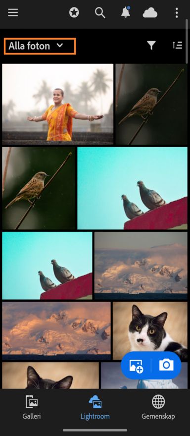 Fliken Lightroom med listrutan Alla foton markerad.