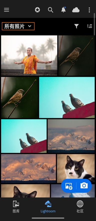 Lightroom 选项卡，其中高亮显示了“所有照片”下拉菜单。