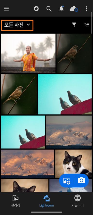 모든 사진 드롭다운 메뉴가 강조 표시된 Lightroom 탭