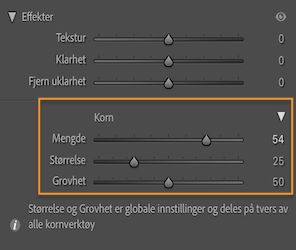 Skjermbilde av Effekter-panelet som viser Korn-delen, der du kan ta i bruk korn lokalt på et bilde.