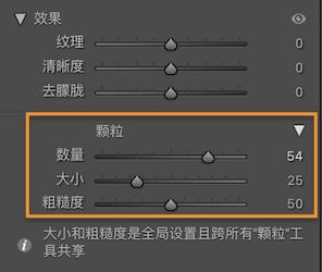 显示“颗粒”部分的“效果”面板的屏幕快照，用于将“颗粒”局部应用于图像。