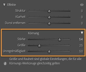 Screenshot des Effektbedienfelds mit sichtbarem Bereich „Körnung“ zum lokalen Hinzufügen von Körnung zum Bild.