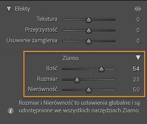 Zrzut ekranu panelu Efekty przedstawiający sekcję Ziarno umożliwiającą lokalne zastosowania ziarna do obrazu.