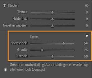 Screenshot van deelvenster Effecten met het gedeelte Korrel om in een afbeelding lokaal een korreleffect toe te passen.