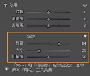 「效果」面板顯示「顆粒」區段的螢幕擷圖，在影像中局部套用「顆粒」。