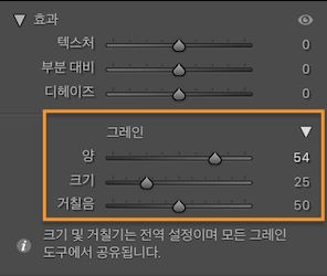 질감을 이미지에 로컬로 적용하는 질감 섹션이 표시된 효과 패널 스크린샷