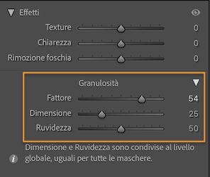 Schermata del pannello Effetti che mostra la sezione Granulosità per applicare le granulosità localmente su un’immagine.