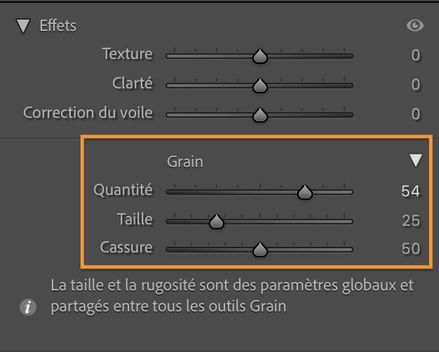 Capture d’écran du panneau Effets affichant la section Grain pour appliquer localement du grain à une image.