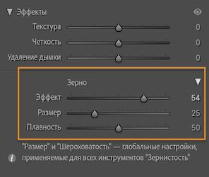 Снимок экрана с панелью «Эффекты» и разделом «Зернистость», на котором показано применение зернистости к изображению.