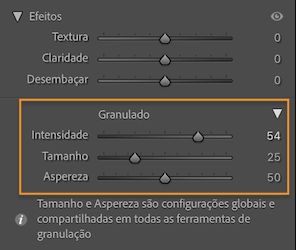 Captura de tela do painel Efeitos mostrando a seção Granulação, para aplicar granulações localmente a uma imagem.