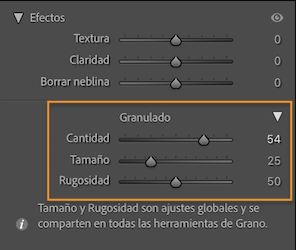 Captura de pantalla del panel Efectos que muestra la sección Granulado para aplicar granulado localmente a una imagen.