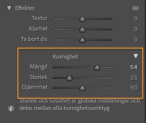 Skärmbild av panelen Effekter som visar avsnittet Kornighet för att tillämpa kornighet lokalt på en bild.