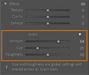 Screenshot of Effects panel showing Grain section, to apply Grains locally to an image.