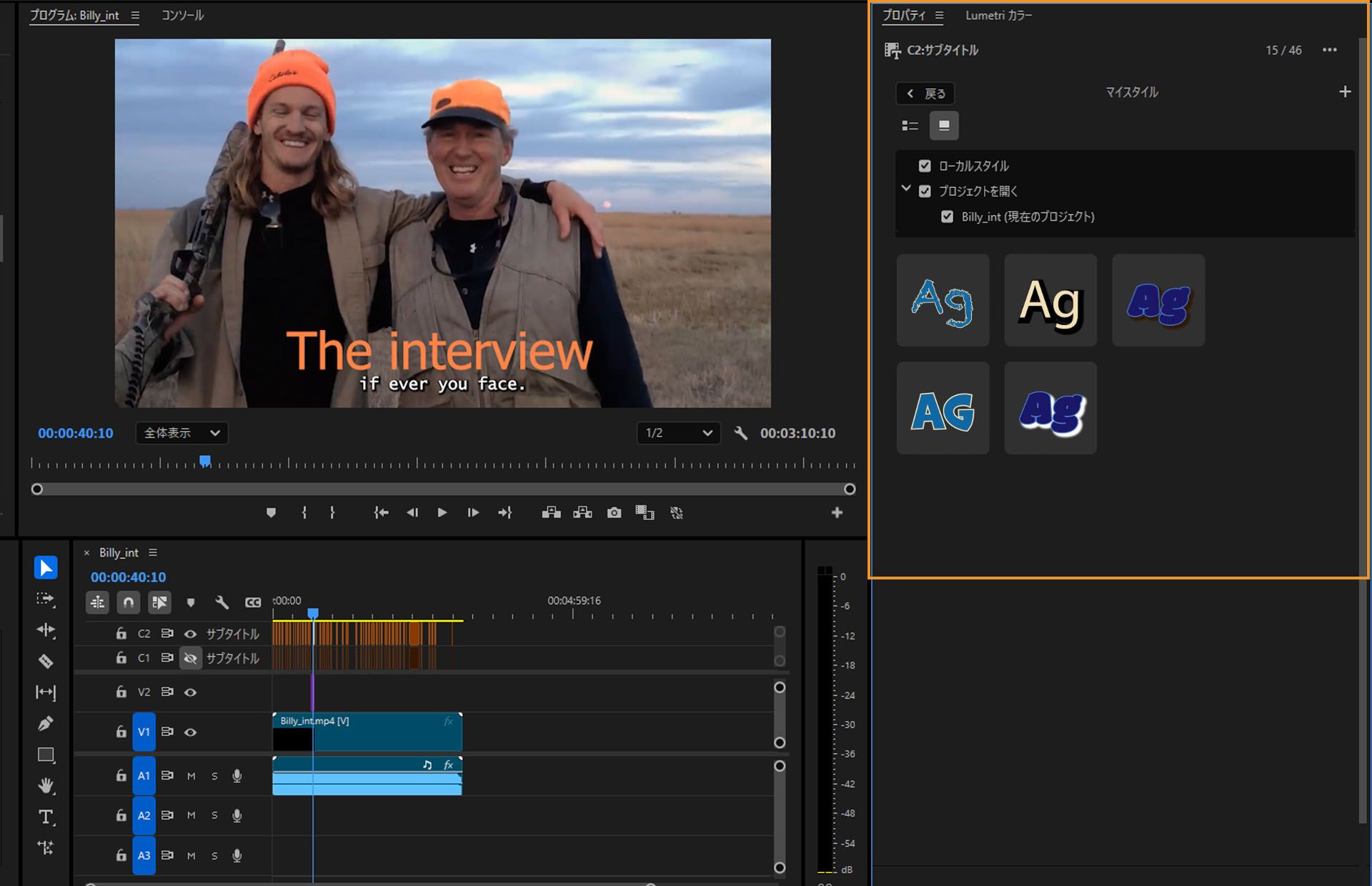 UI には、ローカルスタイルと開かれたプロジェクトスタイルが 1 つのウィンドウに表示されます。