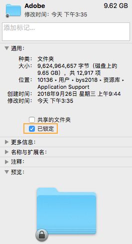 “已锁定”选项