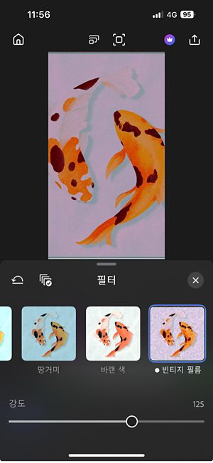 Look 사전 설정이 열려 있으며, 다양한 사진 스타일이 표시되고, 아래에는 적용한 Look의 강도를 0에서 200까지 조절할 수 있는 강도 슬라이더가 있습니다.