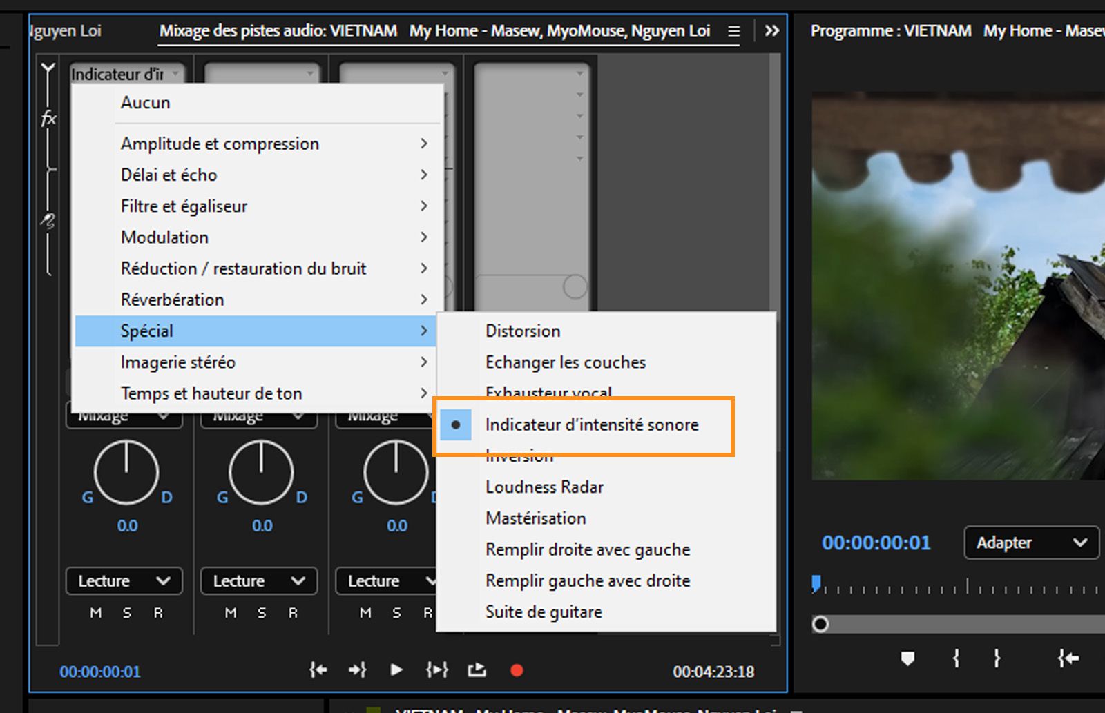 Les effets Mesure d’intensité sonore et Indicateur d’intensité sonore sont disponibles dans l’option Spécial sous le panneau Rack d’effets.