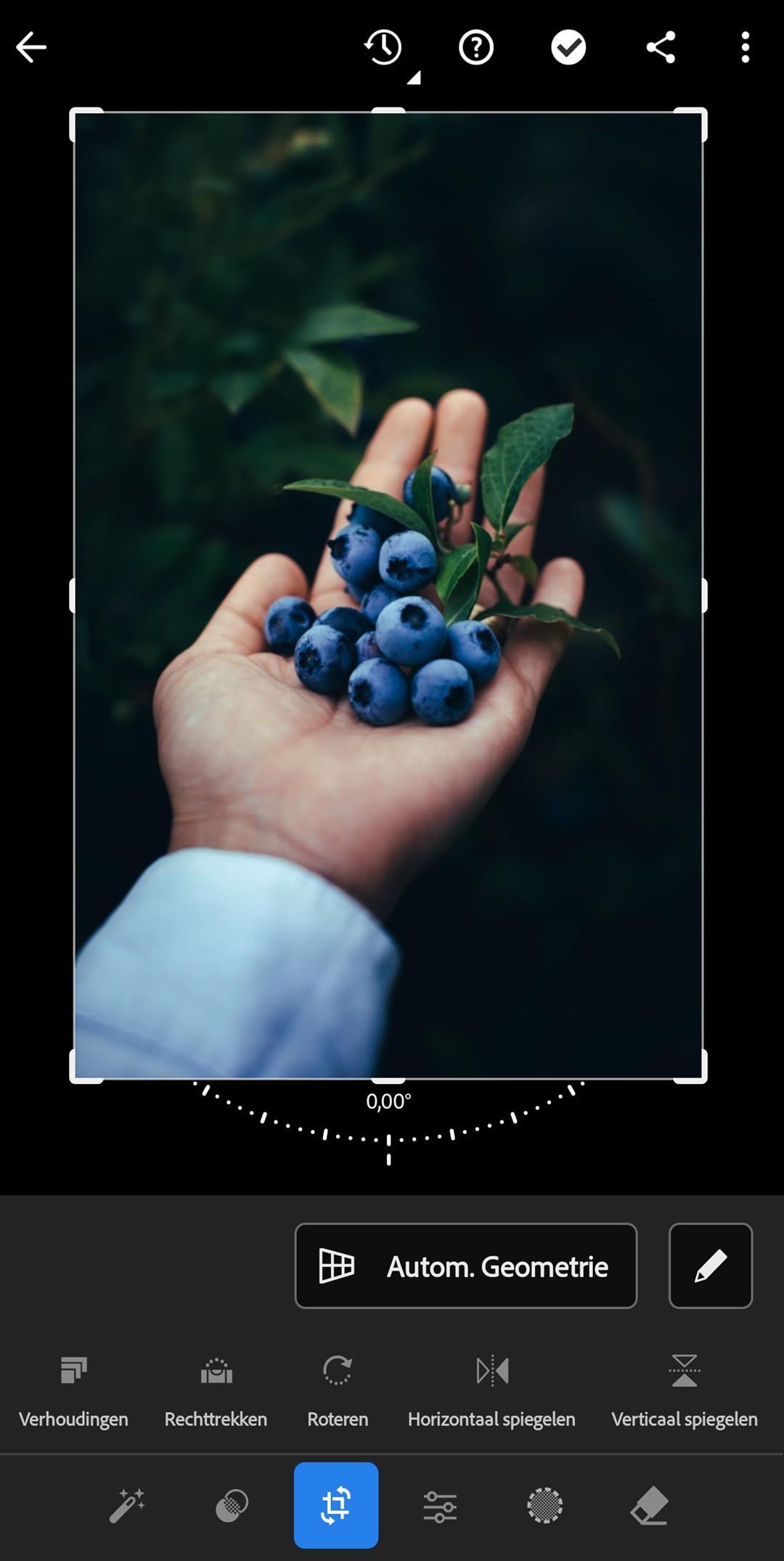 Pas de grootte en beeldverhouding van een foto aan in Lightroom.