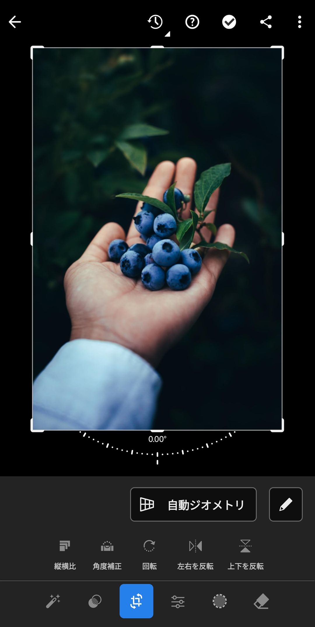 Lightroom で、写真のサイズと縦横比を調整します。