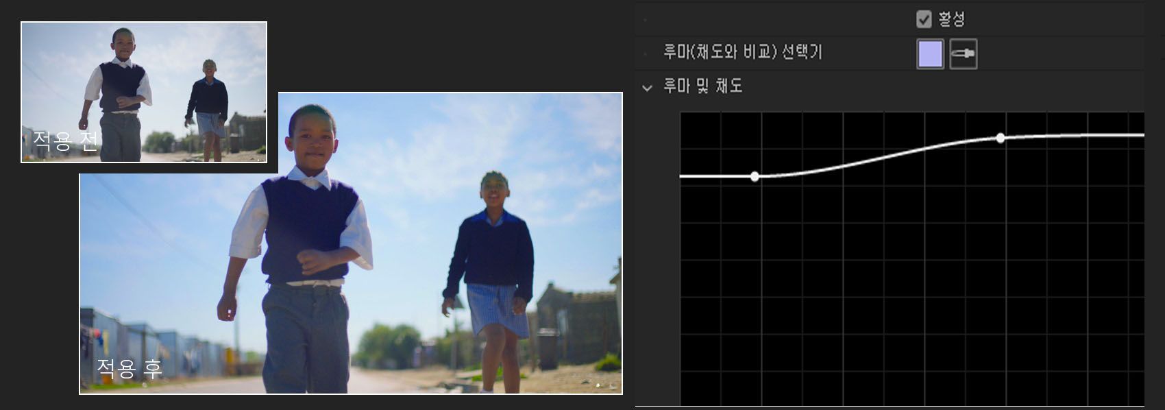 루마 대 채도 곡선 조정
