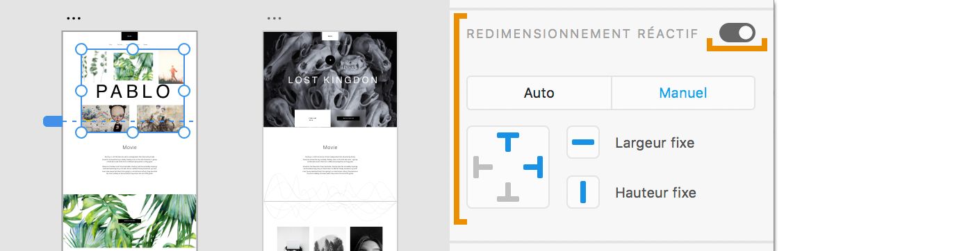 Activation du redimensionnement réactif, sélection du mode Manuel et affichage des contraintes