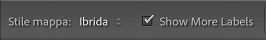Mostra altre etichette nel modulo Mappa