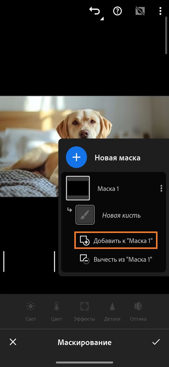 Панель маскирования в Lightroom для мобильных устройств отображает выделенный параметр «Добавить в "Маска 1"», при этом параметр «Добавить» выбран на панели «Новая маска».
