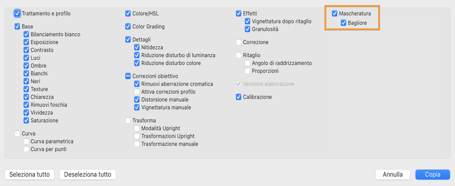Mascheratura impostazioni di copia
