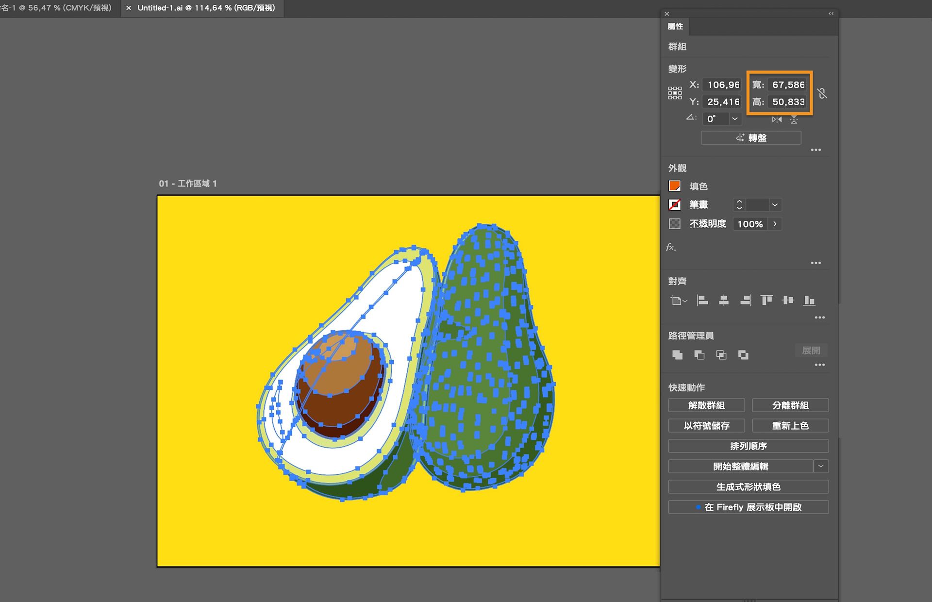 Adobe Illustrator 工作區顯示選定的酪梨插圖且錨點可見