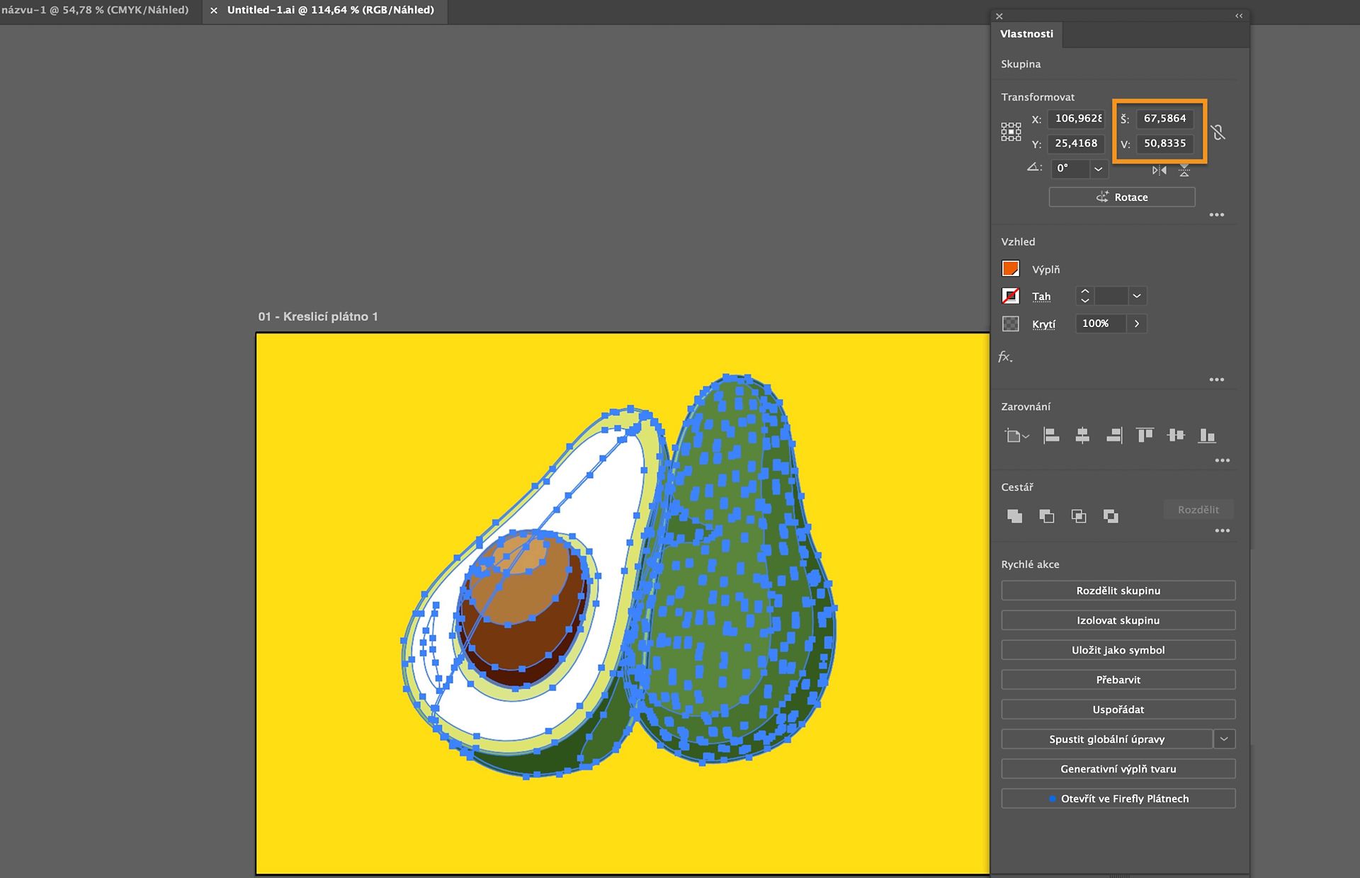 Pracovní prostor aplikace Adobe Illustrator zobrazující vybranou 