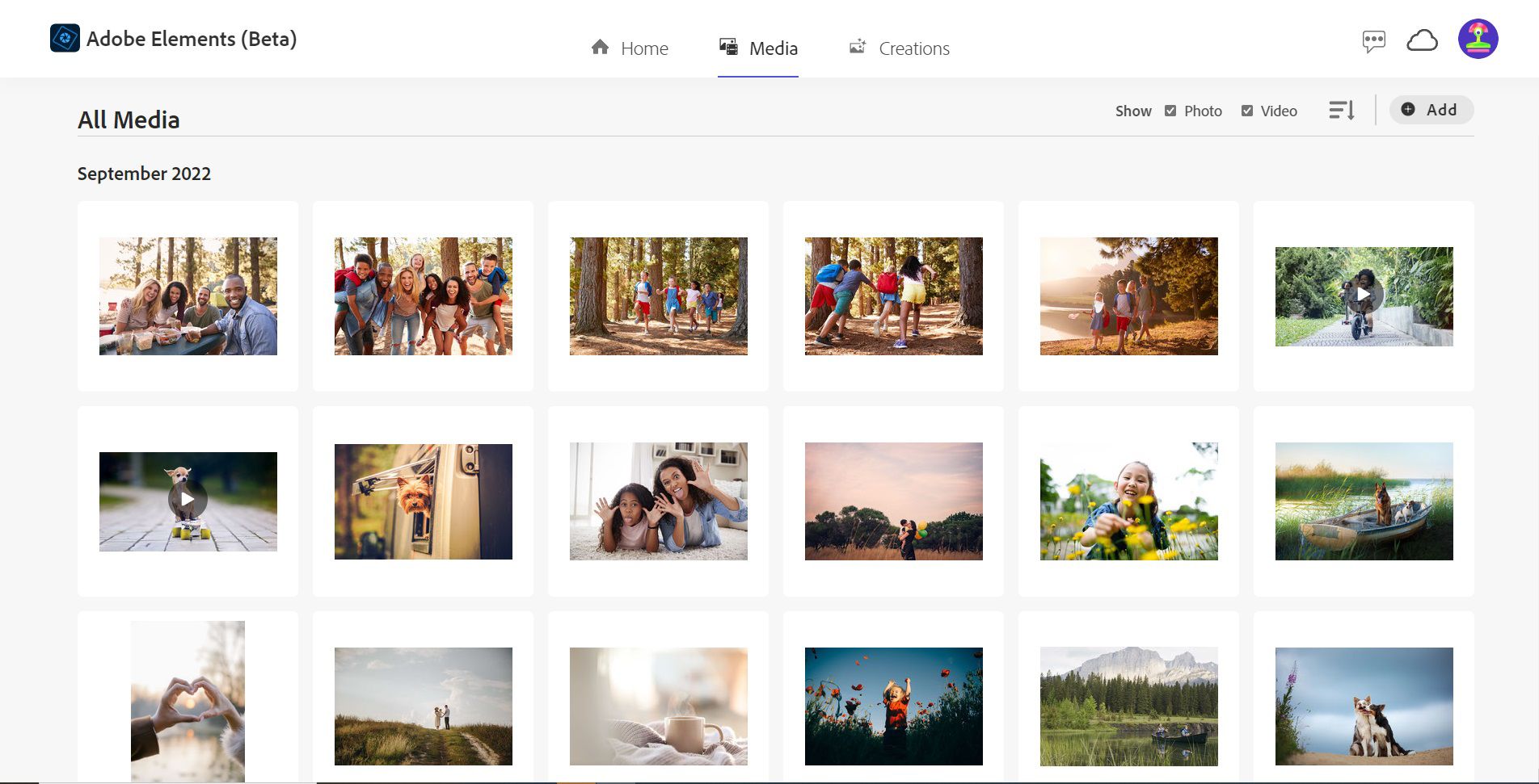 Versione beta per Web Adobe Elements