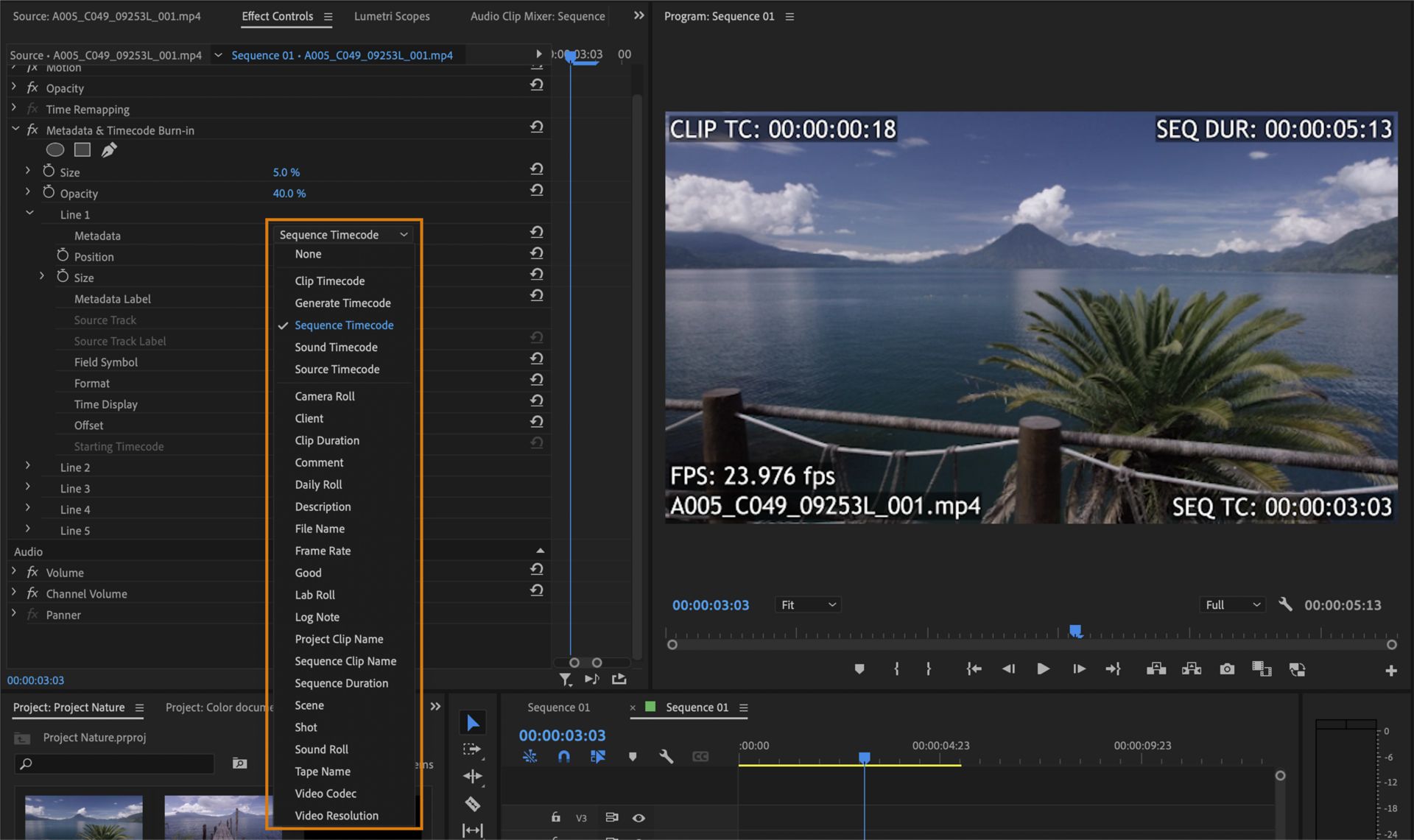 The UI shows shows Effect Controls panel with different clip metadata highlighted.