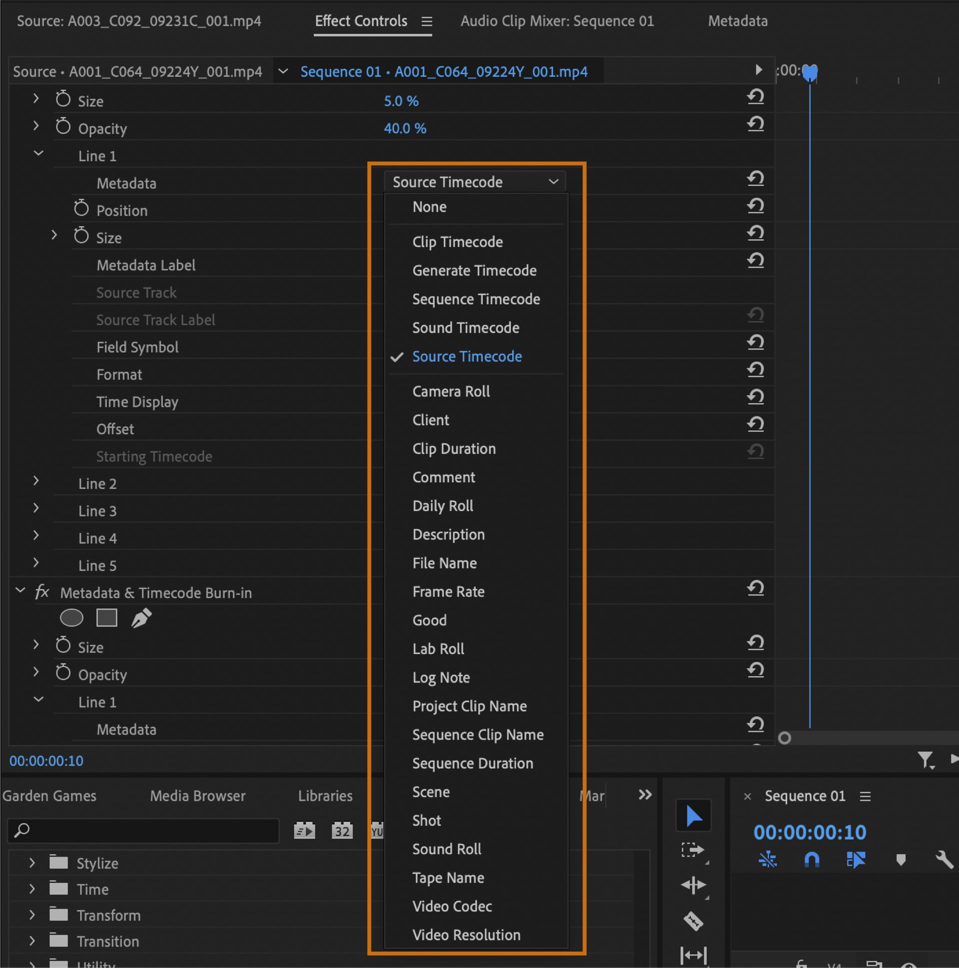 The UI shows shows Effect Controls panel with different clip metadata highlighted.