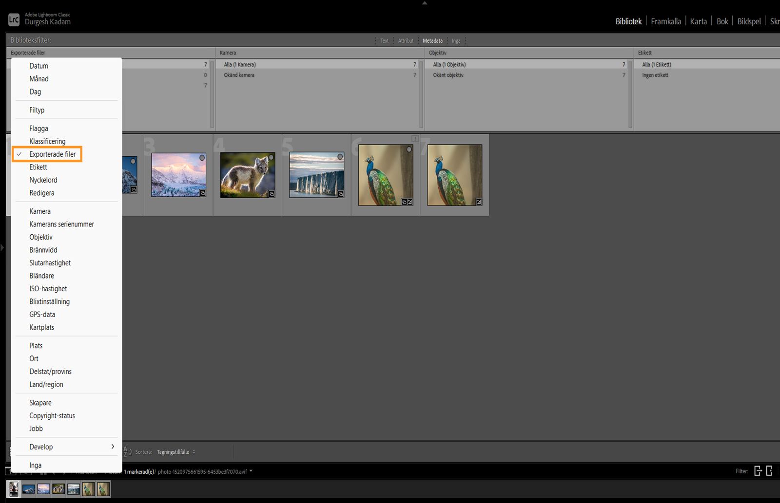 Plats för filter för filer med exporterade metadata